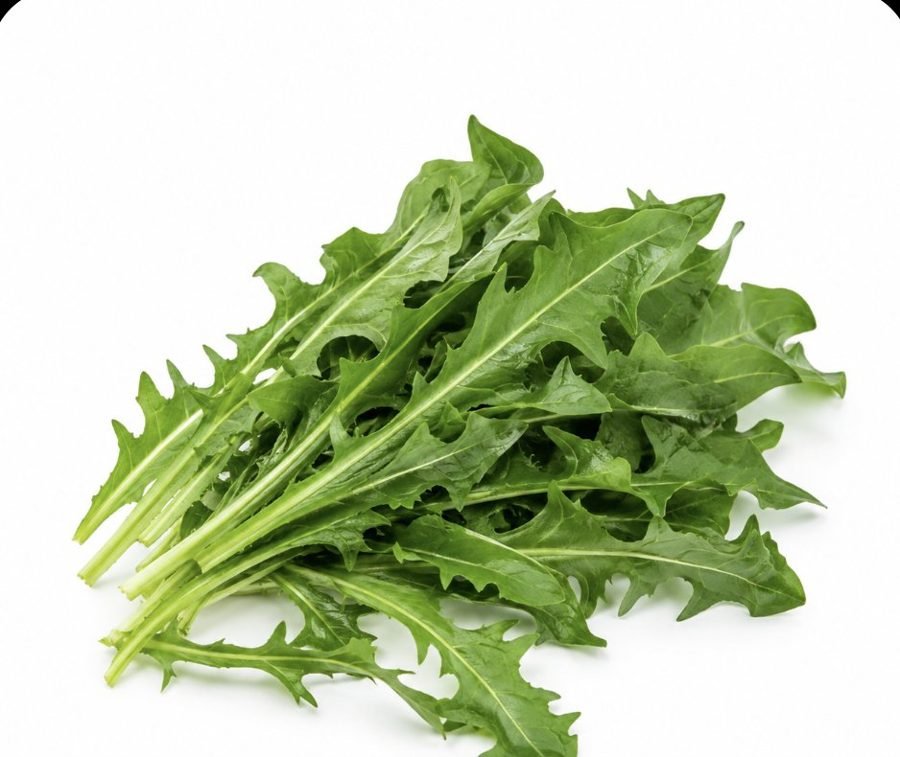 Dandelion leaves