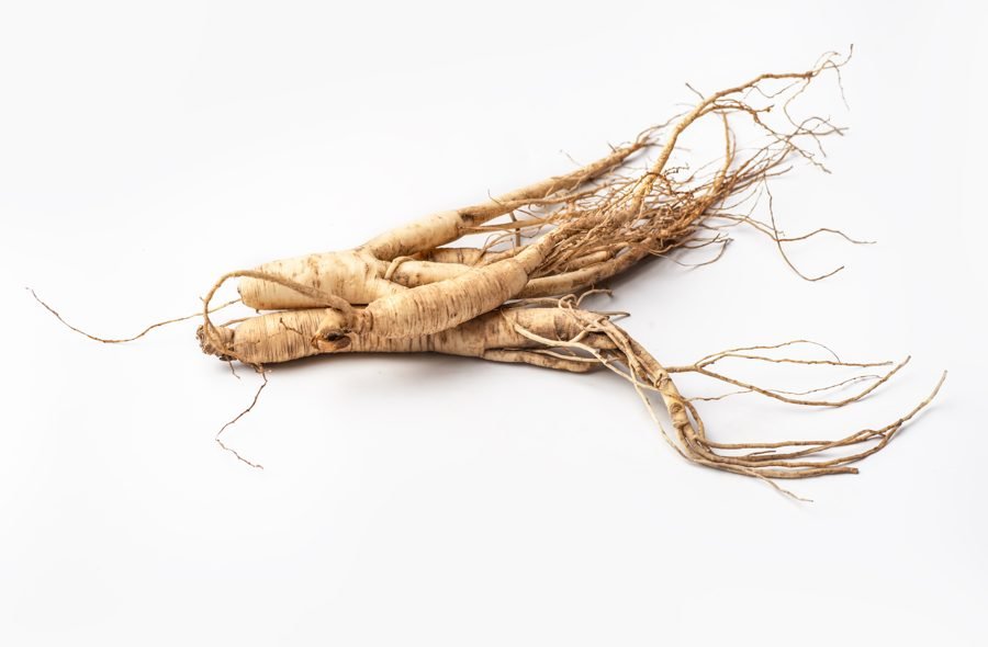 Ginseng root